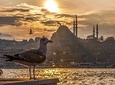 Explore Istanbul in a day with a local: private and personalized