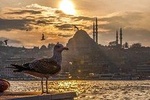 Explore Istanbul in a day with a local: private and personalized