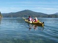 Half-Day Guided Sea Kayak Trip from Picton