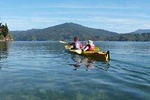 Half-Day Guided Sea Kayak Trip from Picton