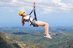 Toro Verde 8 Ziplines FREE TRANSPORTATION 