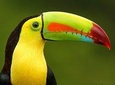 13 days program - Best Spots of Costa Rica