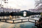 Independent Tour of Wuxi from Shanghai
