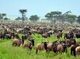 Private 6 Days Masai Mara Wildebeest Migration Safari Holiday