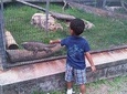 Tour Jamaica Zoo in Saint Elizabeth