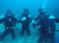 Discover Scuba Diving Program