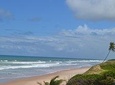 Massarandupio Beach Experience Daytrip from Salvador