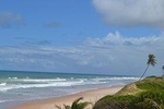 Massarandupio Beach Experience Daytrip from Salvador