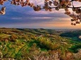 Collio: Cividale Del Friuli and Wine Tastings from Trieste