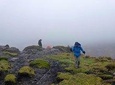 Day Tour - Inca Trail Cajas National Park