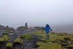 Day Tour - Inca Trail Cajas National Park
