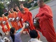 Morning Buddhist Culture and Doi Suthep Temple (Private Tour)