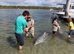 Visit Barnacles Dolphin Centre, Tin Can Bay, Queensland, Australia