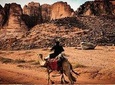Private Transfer From Wadi Rum