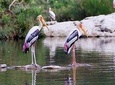 Excursion to Surwal Lake With Transfers & Guided Trip