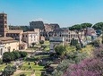 Private Colosseum Tour with Ancient Rome: VIP Experience