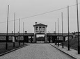 Wroclaw to Project Riese and Gross Rosen Museum - WW2 Tour including tickets