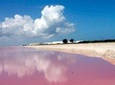 LAS COLORADAS & RIO LAGARTOS from Riviera Maya and Cancun (Private)