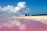 LAS COLORADAS & RIO LAGARTOS from Riviera Maya and Cancun (Private)
