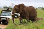 Private 10 Days Best of Kenya Wildlife Safari Holiday