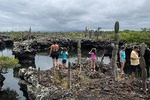 5-Day Guided Galapagos & Los Tuneles Tour