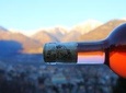 Wine tasting in the Ossola Vineyards