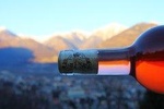 Wine tasting in the Ossola Vineyards