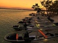Clear Kayak Guided Tour in St. Pete