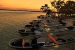 Clear Kayak Guided Tour in St. Pete