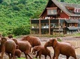 Private 6 Days Aberdares, Lake Nakuru and Masai Mara Wildlife Safari