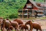 Private 6 Days Aberdares, Lake Nakuru and Masai Mara Wildlife Safari