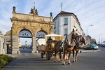 Round trip from Prague to Pilsner Urquell brewery up to 4 hours of waiting