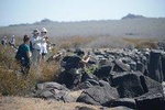 4-Day Galapagos Tour: Santa Cruz & 2 Uninhabited Islands