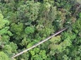 Arenal Hanging Bridges