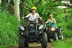 4x4 Dominican Experience, Water Cave, Chocolate & Coffee Tasting from Punta Cana