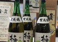 Sake Town Tour in Saijo Hiroshima