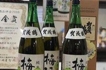 Sake Town Tour in Saijo Hiroshima