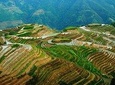 Longji Rice Terraces and Minority Village Private Trip from Guilin