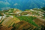 Longji Rice Terraces and Minority Village Private Trip from Guilin