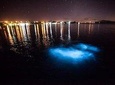 Luminous Lagoon Magical Tour