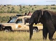 9-Days Best of Kenya & Tanzania Private Safari