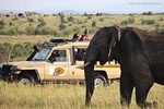 9-Days Best of Kenya & Tanzania Private Safari