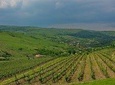 Bike and Wine tour in Romania