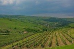 Bike and Wine tour in Romania