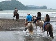 Puntarenas Shore Excursion: Beach & Rainforest Horseback Riding & Crocodile Tour