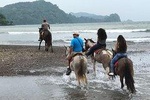 Puntarenas Shore Excursion: Beach & Rainforest Horseback Riding & Crocodile Tour