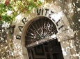 THE GODFATHER: SAVOCA AND FORZA D'AGRO' WITH LUNCH