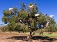 Atlas Mountains with Horse Riding and discover the berber Villages and culture