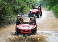 Puntarenas Shore Excursions: Jungle & Rivers ATV Exploration & Crocodile Safari 