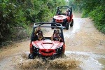Puntarenas Shore Excursions: Jungle & Rivers ATV Exploration & Crocodile Safari 
